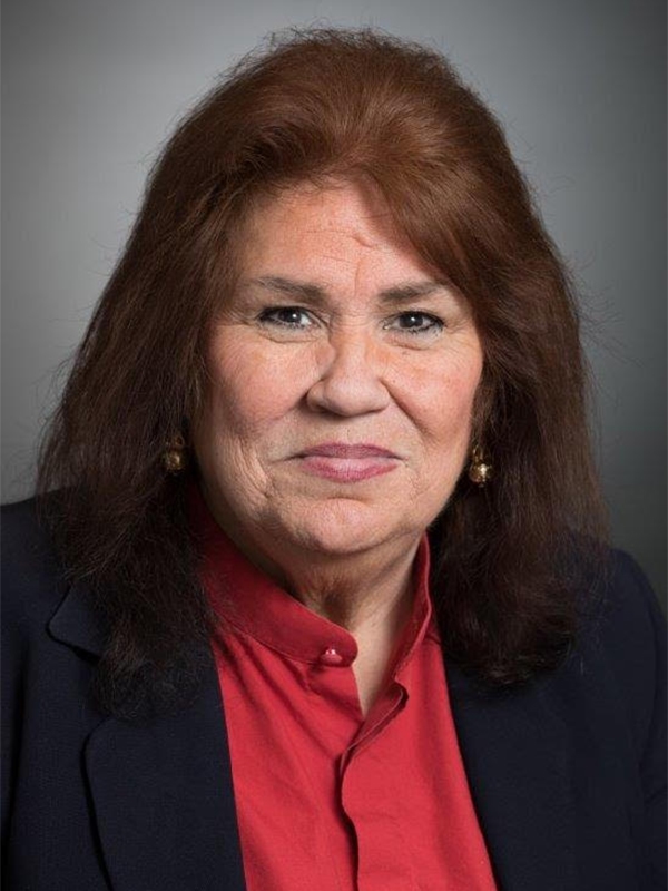 State Rep. Terry Meza